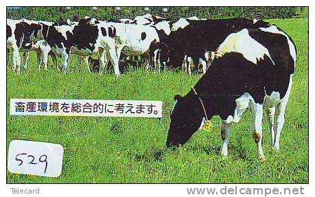 Télécarte JAPON * VACHE (529) COW * KOE * BULL * PHONECARD JAPAN * TELEFONKARTE * VACA * TAURUS * - Cows