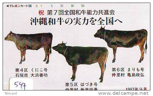 Télécarte JAPON * VACHE (547) COW * KOE * BULL * TAUREAU * STIER * PHONECARD JAPAN * TELEFONKARTE * VACA * TAURUS * - Cows