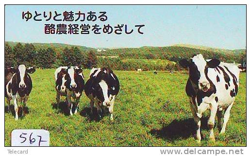 Télécarte JAPON * VACHE (567) COW * KOE * BULL * TAUREAU * STIER * PHONECARD JAPAN * TELEFONKARTE * VACA * TAURUS * - Mucche