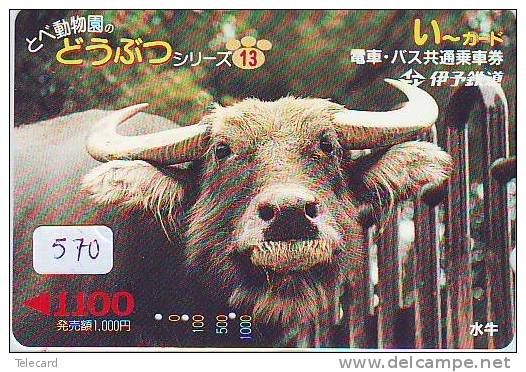 Télécarte JAPON * VACHE (570) COW * KOE * BULL * TAUREAU * STIER * PHONECARD JAPAN * TELEFONKARTE * VACA * TAURUS * - Vaches