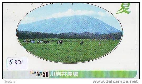 Télécarte JAPON * VACHE (580) COW * KOE * BULL * TAUREAU * STIER * PHONECARD JAPAN * TELEFONKARTE * VACA * TAURUS * - Mucche