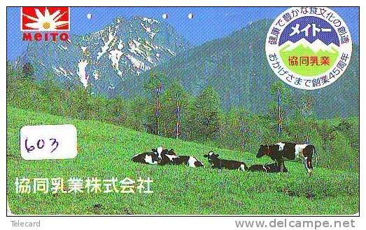 Télécarte JAPON * VACHE (603) COW * KOE * BULL * PHONECARD JAPAN * TELEFONKARTE * VACA * TAURUS * - Vacas