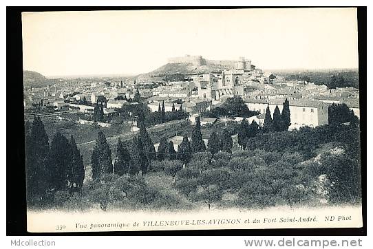 30 VILLENEUVE LES AVIGNON /       Vue Panoramique    / - Villeneuve-lès-Avignon