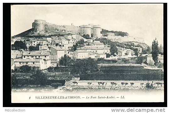 30 VILLENEUVE LES AVIGNON /       Fort Saint-André     / - Villeneuve-lès-Avignon