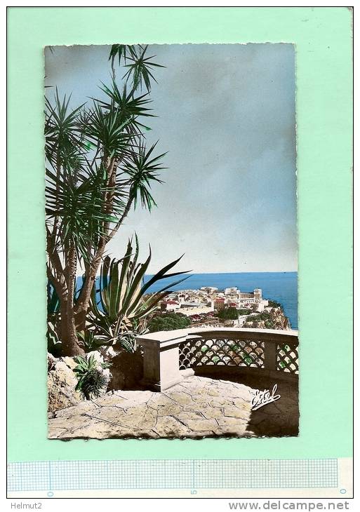 MONACO Le Rocher Vu De La Terrasse Du Jardin Exotique - Palmiers (voir Détails 2scan) Colorisée ESTEL N° 1732 -MEE292 - Exotic Garden