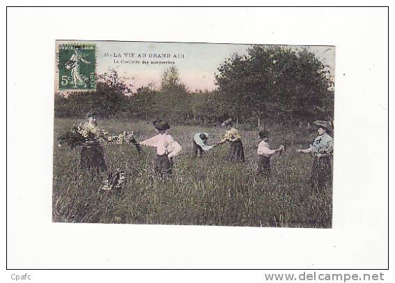 Carte 1910 La Vie Au Grand Air : La Cueillette Des Marguerites - Other & Unclassified