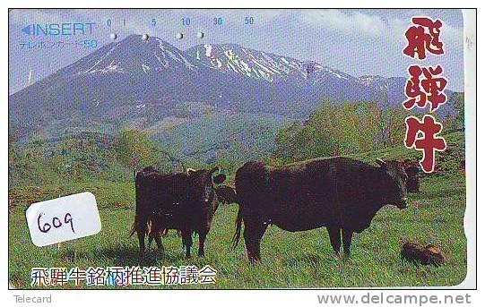 Télécarte JAPON * VACHE (609) COW * KOE * BULL * PHONECARD JAPAN * TELEFONKARTE * VACA * TAURUS * - Vaches