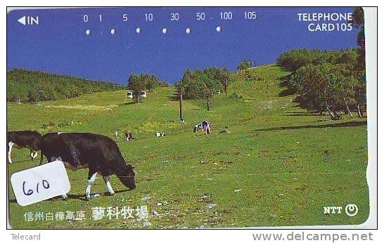 Télécarte JAPON * VACHE (610) COW * KOE * BULL * PHONECARD JAPAN * TELEFONKARTE * VACA * TAURUS * - Vaches