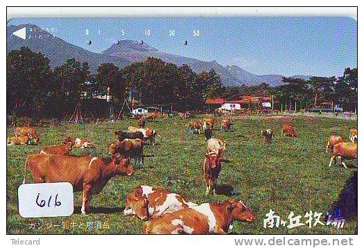 Télécarte JAPON * VACHE (616) COW * KOE * BULL * PHONECARD JAPAN * TELEFONKARTE * VACA * TAURUS * - Cows