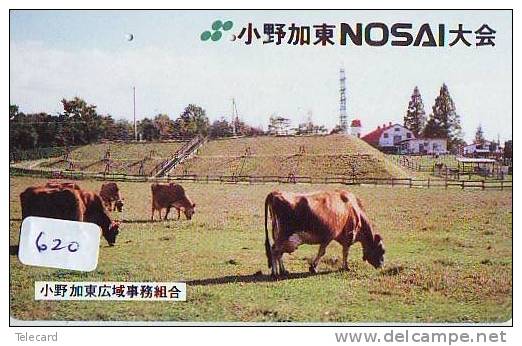 Télécarte JAPON * VACHE (620) COW * KOE * BULL * PHONECARD JAPAN * TELEFONKARTE * VACA * TAURUS * - Cows