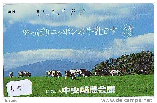 Télécarte JAPON * VACHE (631) COW * KOE * BULL * PHONECARD JAPAN * TELEFONKARTE * VACA * TAURUS * - Kühe