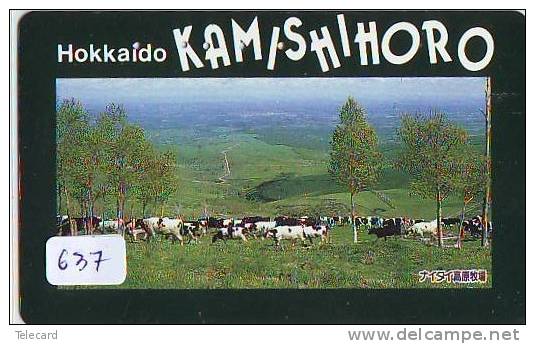 Télécarte JAPON * VACHE (637) COW * KOE * BULL * PHONECARD JAPAN * TELEFONKARTE * VACA * TAURUS * - Cows