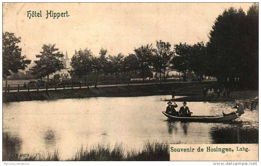 Souvenir De Hosingen,Lxbg     Hotel Hippert   V 40272 - Autres & Non Classés