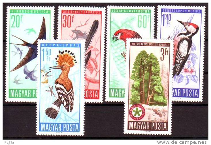 HUNGARY - 1966. Protection Of Birds - MNH - Nuevos