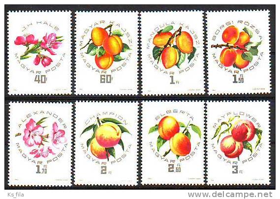 HUNGARY - 1964. National Peaches And Apricots Exhibition - MNH - Unused Stamps