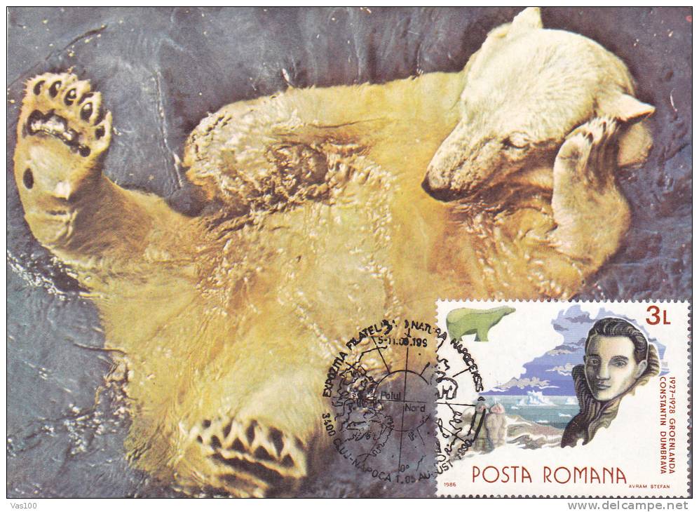 BEAR, OURS, 1992, CM. MAXI CARD, CARTES MAXIMUM, ROMANIA - Ours