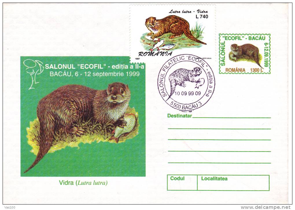 RODENT, 1999, COVER STATIONERY, ENTIER POSTAL, OBLITERATION CONCORDANTE, ROMANIA - Rongeurs