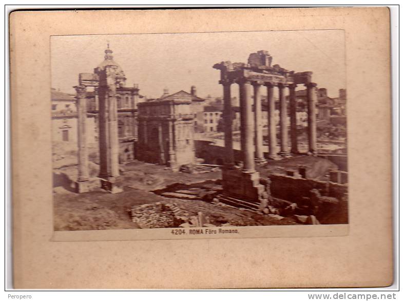 LAZIO ROMA 4204.FORO ROMANO Le Fotografie Di Tutto Il Formato Rigido Cartoni  DIM.19 X 13.8 Cm  FOTO:15 X 10 Cm - Fotografia