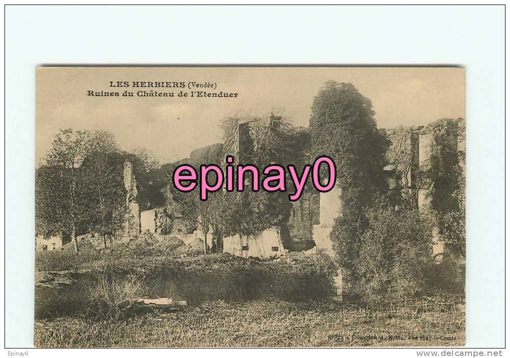 Br - 85 - LES HERBIERS - Ruines Du Chateau De L´Etenduer - Les Herbiers