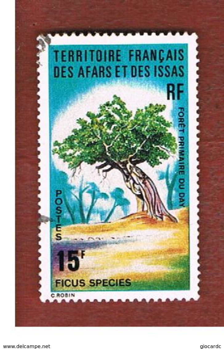 TERRITORI FRANCESI AFARS & ISSAS (FRENCH TERRITORY AFARS & ISSAS) - SG 622 - 1974 PLANTS: FICUS  SPECIES      - USED ° - Usati