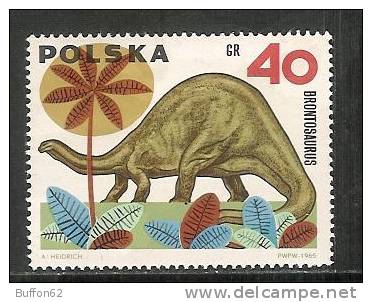 Pologne / Poland - (1965) - Brontosaurus - Apatosaurus / Brontosaure - Apatosaure. Dinosaure / Dinosaur. - Préhistoriques