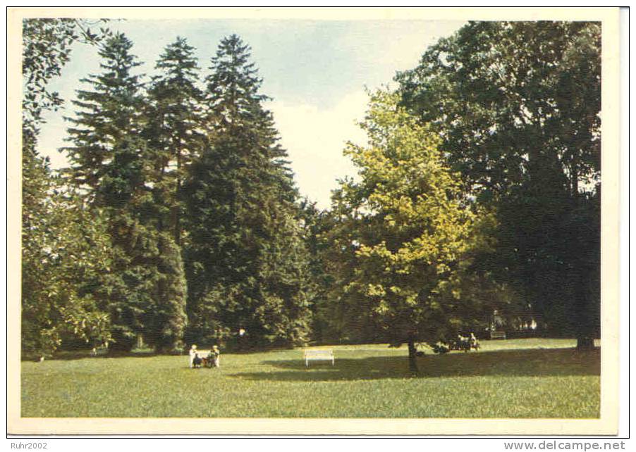 Alte AK Bad Eilsen Partie Im Park - Bückeburg