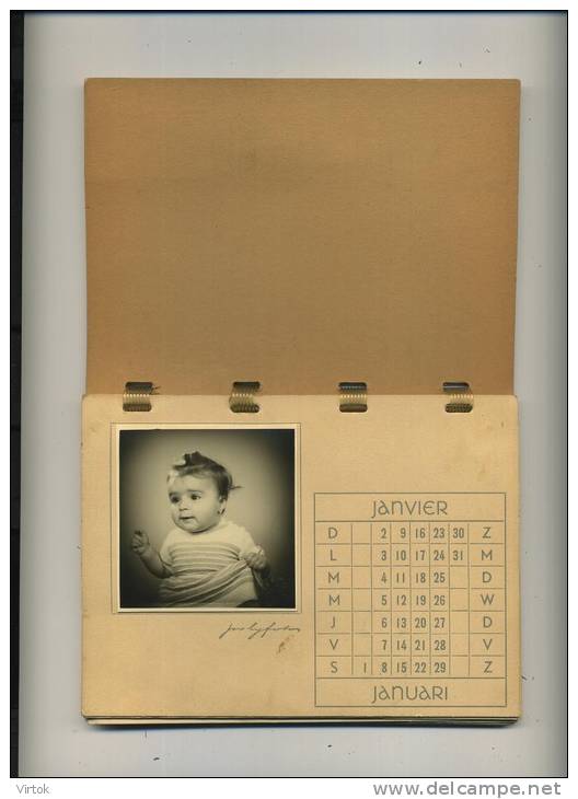 Fotografie  :  Calendrier  1955   Fillette    (  Toutes Les Mois  Jan - Dec )    ( Format  17  X 12.5  Cm ) - Autres & Non Classés