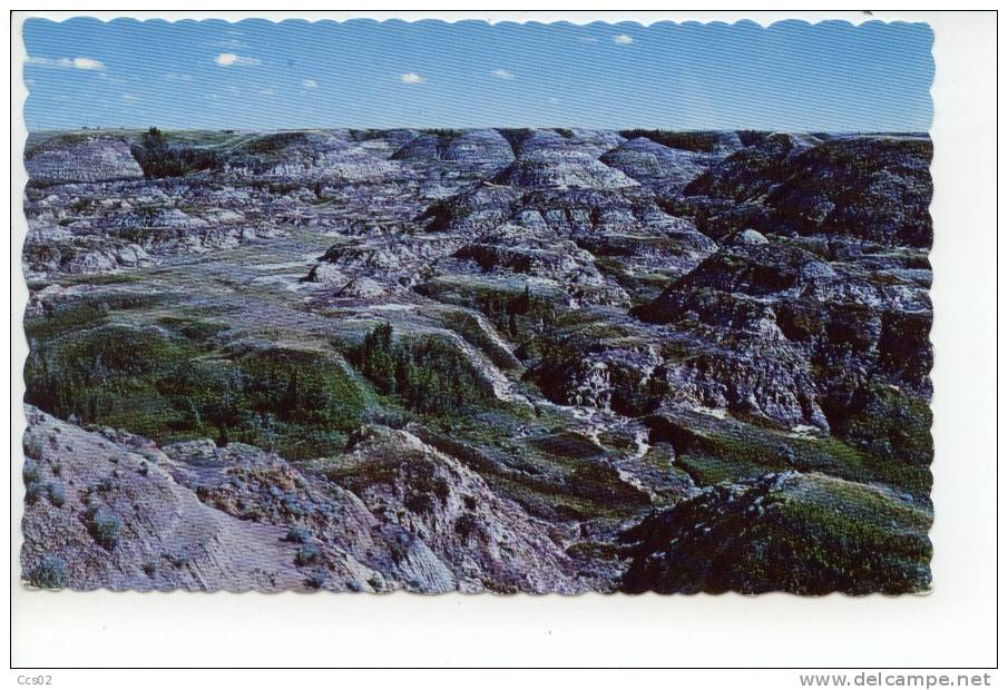 Horse Shoe Canyon Badlands Near Drumheller - Autres & Non Classés