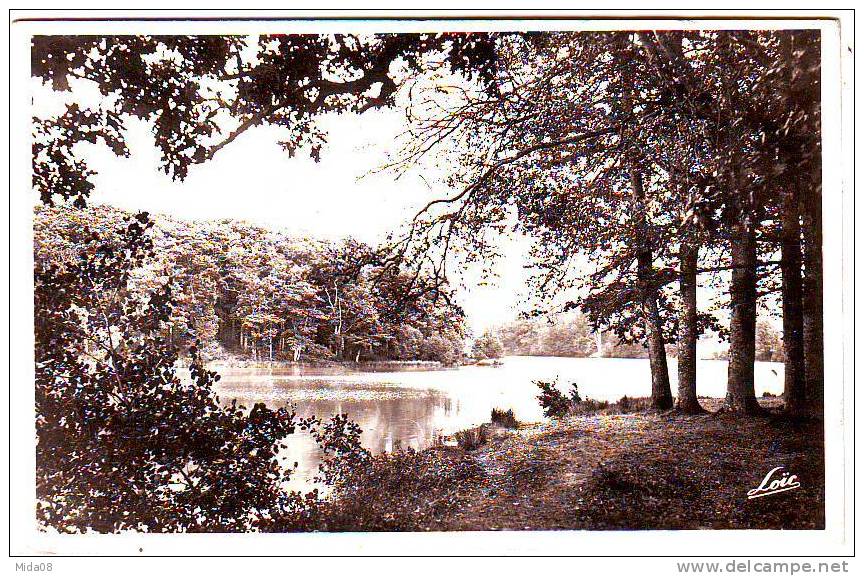 35. PAIMPONT. LA FORET . ETANG DES FORGES. - Paimpont