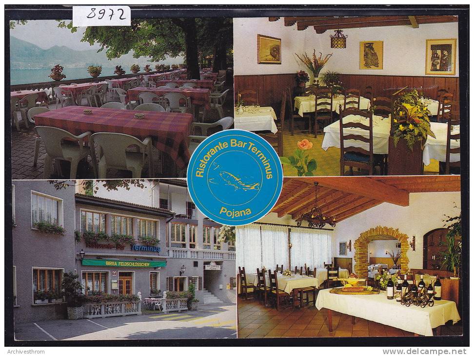 Riva San Vitale - Ristorante - Bar Terminus Pojana ; Ca 1991 ; Form. 10 / 15 (8972) - Riva San Vitale