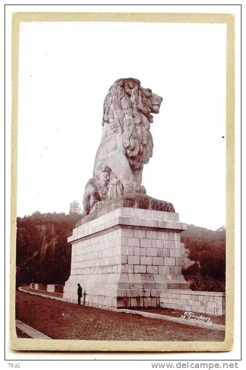 D6949  - JALHAY - Le Lion De La Gileppe  - Photo (10,3 X 15,5 Cm) Sur Carton  - !!! 1890 !!! - Lieux