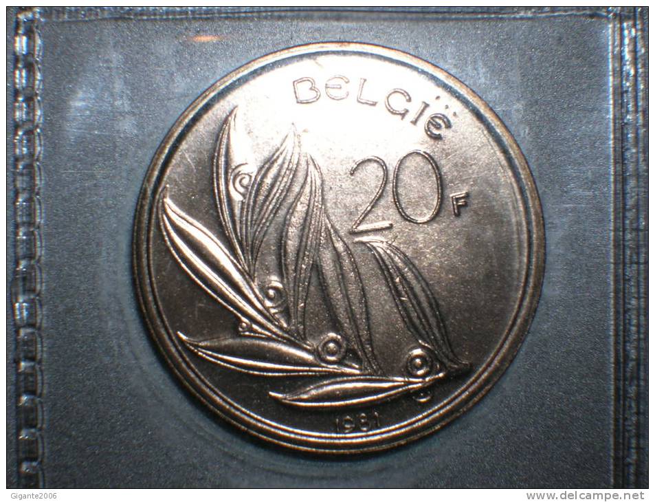 Bélgica 20 Francos 1981 (belgie) (1512-4) - 20 Francs