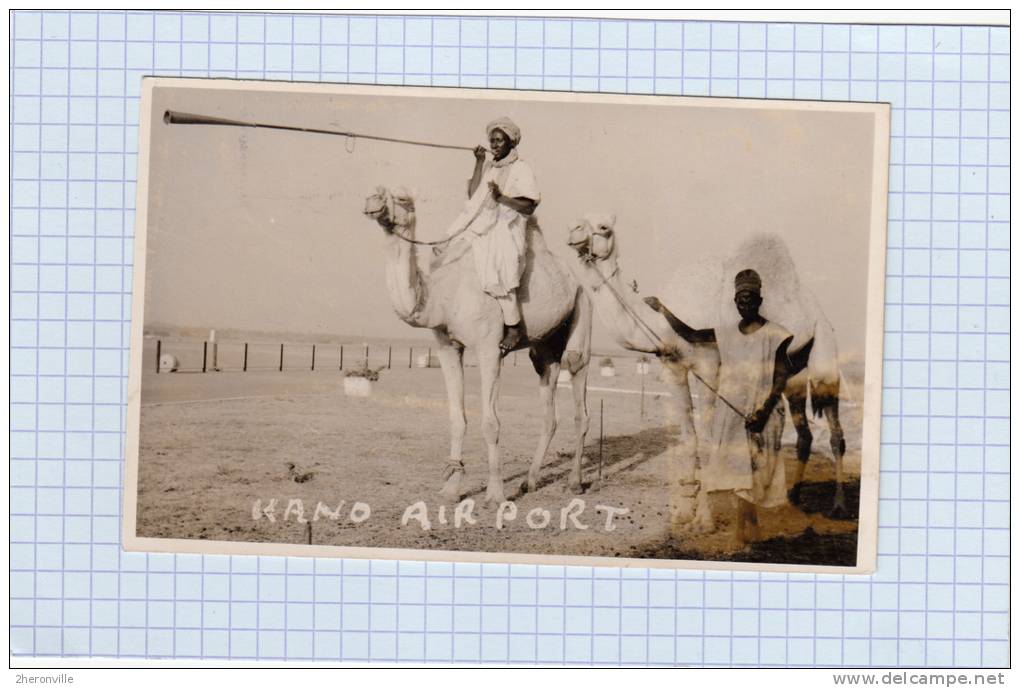 CPA Photo - KANO - Airport - Dromadaire - Nigeria