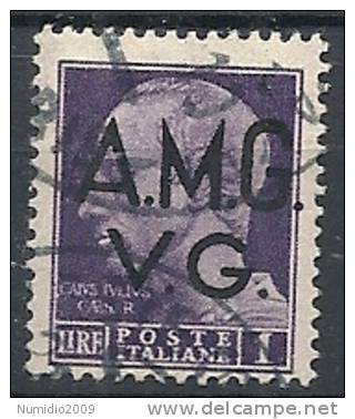 1945-47 TRIESTE AMG VG  USATO IMPERIALE 1 LIRA - RR10243 - Gebraucht