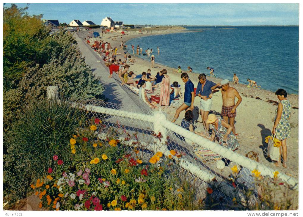 Damgan Plage De La Folie - Damgan