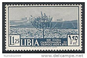 1939 LIBIA 13° FIERA DI TRIPOLI 1,25 LIRE MH * - RR10265 - Libya