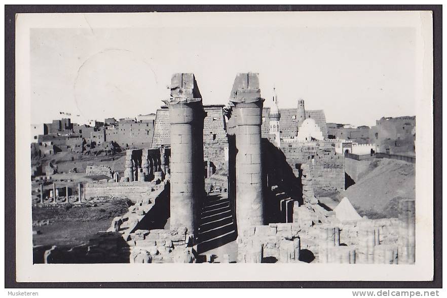 Egypt Egypte PPC Luxor Temple - The Fourteen Collonades Of Amenhotep III 1953 Echte Real Photo Váritable (2 Scans) - Luxor