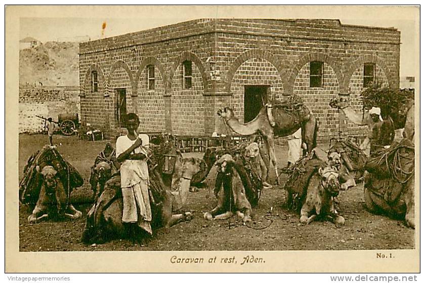 180982-Yemen, Aden, Caravan At Rest, Camels, Egyptian Cigarettes Factory, M.S. Lehem & Co No 1 - Yemen