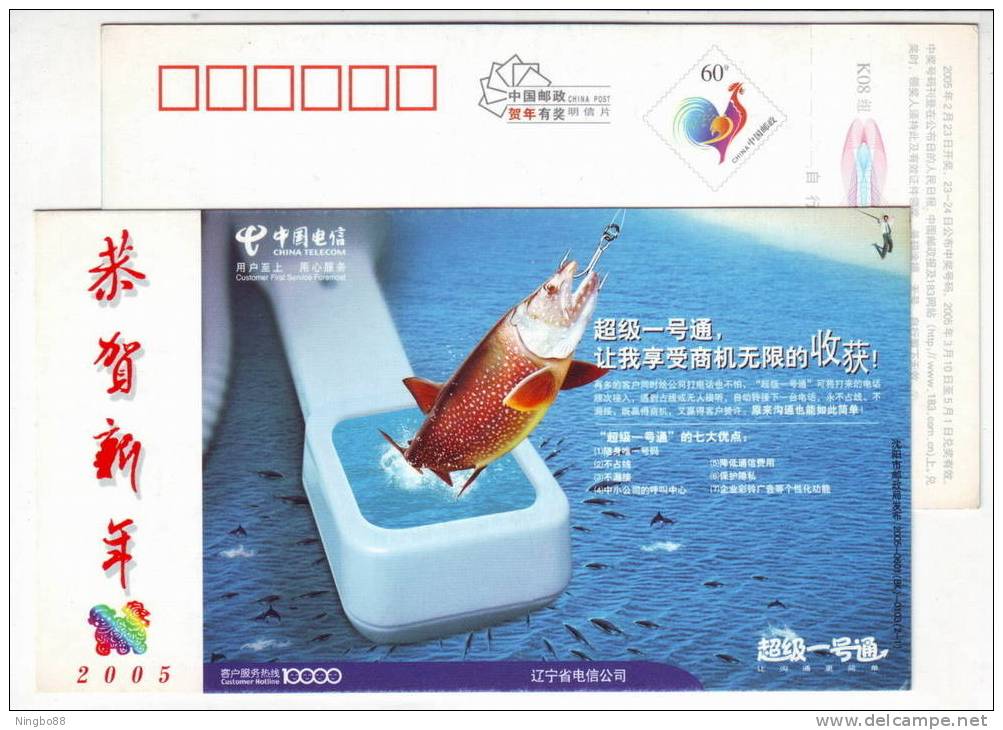 Fishing Hook,jumping Dolphin,fish Angling,China 2005 Liaoning Telecom Advertising Postal Stationery Card - Dolphins