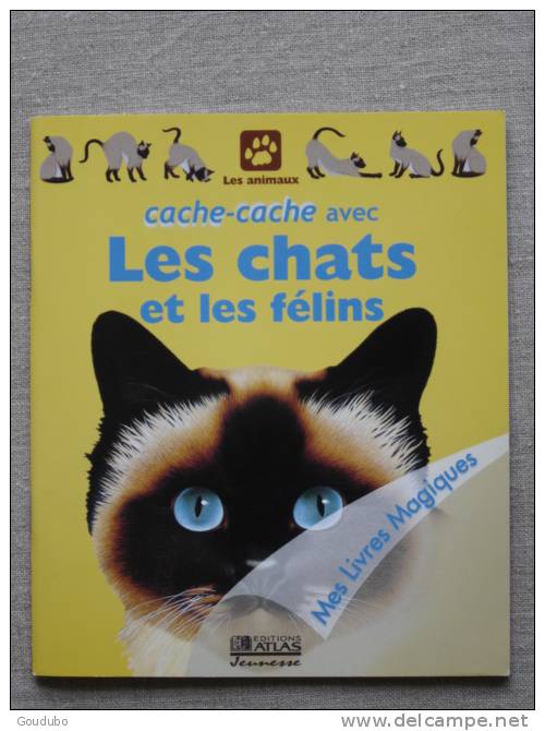 Cache-cache Avec Les Chats Et Les Felins. Mes Livres Magiques Atlas. 9 Photos. - Andere & Zonder Classificatie