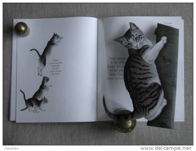 Cache-cache Avec Les Chats Et Les Felins. Mes Livres Magiques Atlas. 9 Photos. - Andere & Zonder Classificatie