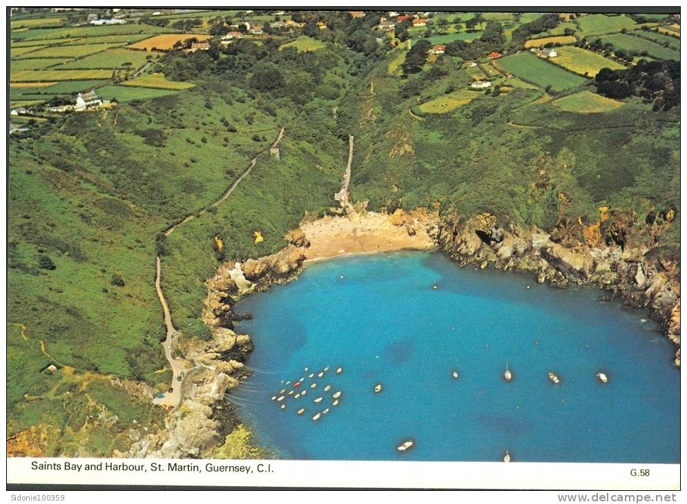 Carte Postale De St Martin (Guernsey) Expédiée Vers Bruxelles En 1979 - Guernsey