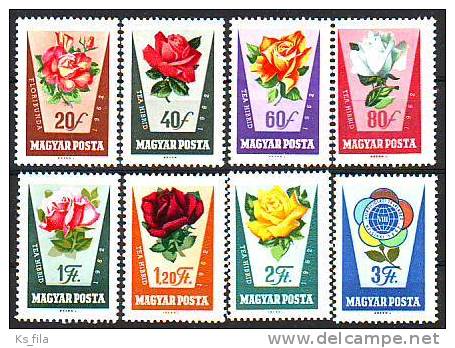 HUNGARY - 1962. Rose Culture - MNH - Nuevos