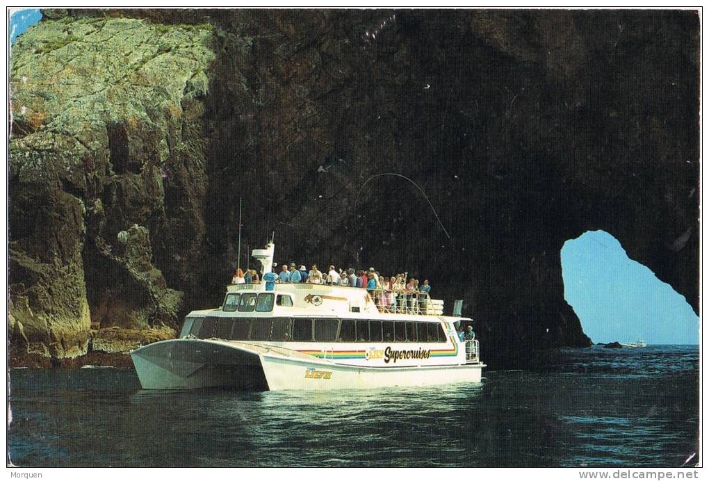 1990. Postal PERNELL (New Zealand) 1988. Supercruises Tiger Lily - Briefe U. Dokumente