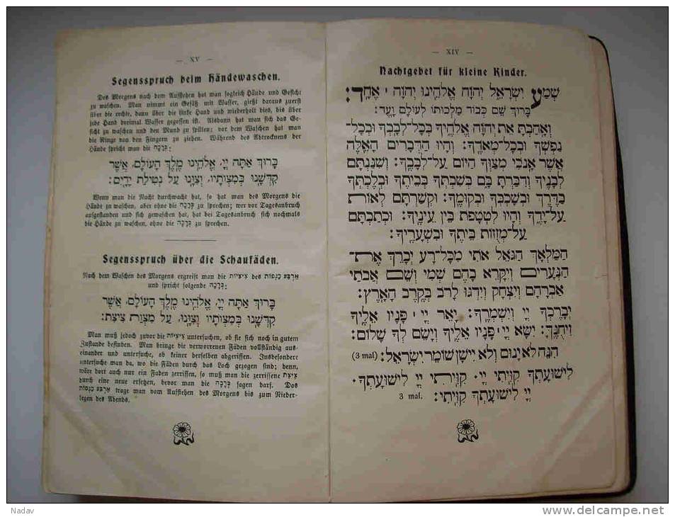 JUDAICA.  Siddur Sapha Berurah -   &#x5E1;&#x5D9;&#x5D3; 93;&#x5E8; &#x5E9;&#x5E4;&#x5D4; &#x5D1;&#x5E8;&#x5D5; 12