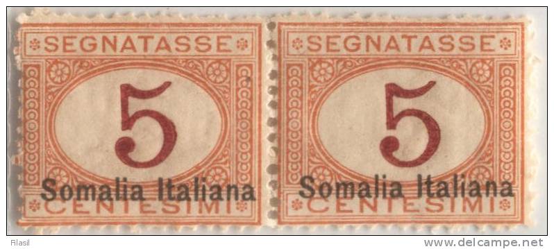 SI53D Italia Italy  Regno Colonie Segnatasse 1920 5 C. - Soprastampato Somalia Italiana, In Basso Nuovo MNH Coppia 1 - Somalië