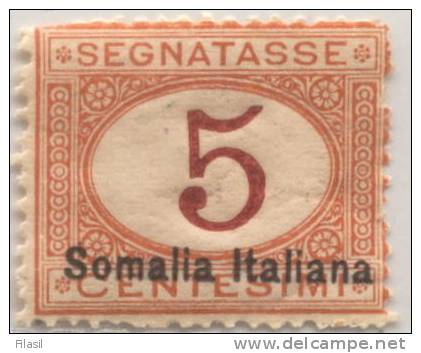 SI53D Italia Italy  Regno Colonie Segnatasse 1920 5 C. - Soprastampato Somalia Italiana, In Basso Nuovo MNH - Somalie