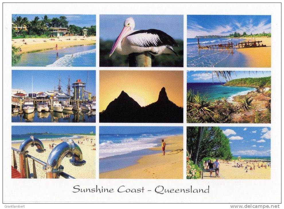 Sunshine Coast Multiview, Queensland, Banksia Images Q220 Unused 17 X 12 Cm - Autres & Non Classés