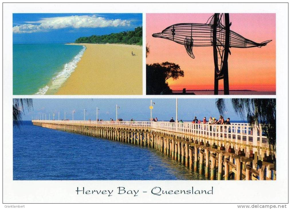 Hervey Bay Multiview, Queensland, Banksia Images Q361 Unused 17 X 12 Cm - Autres & Non Classés
