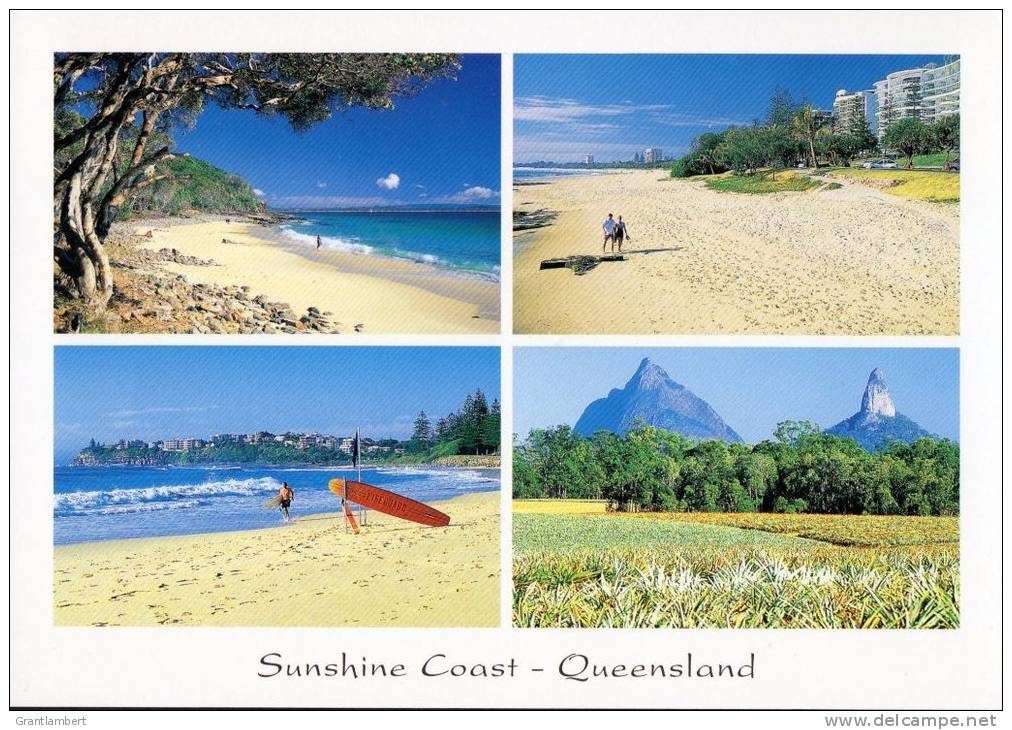 Sunshine Coast Multiview, Queensland, Banksia Images Q219 Unused 17 X 12 Cm - Autres & Non Classés